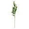 CC Home Furnishings 31" Green Artificial Long Stem Blooming Cream Country Poppy Flower Pick